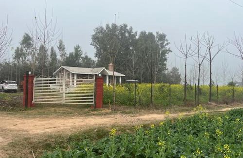 Sanghol Ski Chalet | RajKamal's Farm