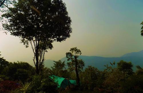 Talipparamba Resort | Regina Silva Jungle Resort