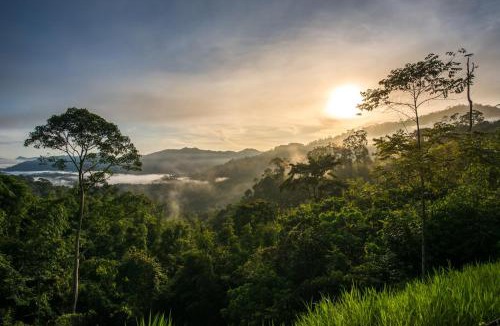 Janda Baik Villa | Rest Pause Rainforest Retreat