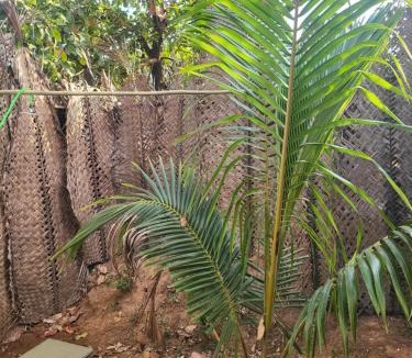 Arambol House | REWOGA Resort - Rooms with Open-Air Shower