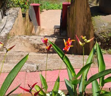 Vythiri House | River view cottage