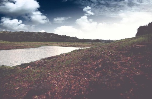 Wadakanchery Resort | Riverine Springs