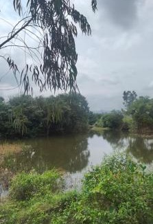 Kanakapura Resort | S R Nature Farms