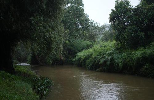 Sakleshpur Resort | Sankula River Resort by Mayuri Groups