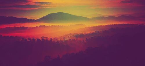 Koppa Hostel | Serene valley koppa hilltop homestay
