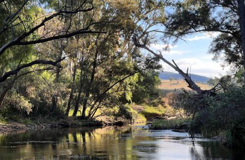 Mole River Other | Serenity Ranch