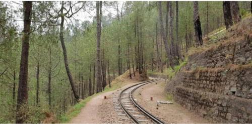Dharampur Apartment | Serviced Apartments I Kasauli
