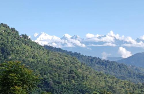 Lebong and Mineral Spring Tea Garden House | Shantikunja Homestay