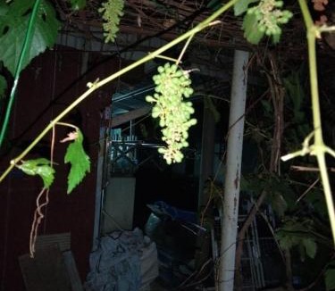 Kampung Pantai Halban House | Singgahan Keluarga Jitu