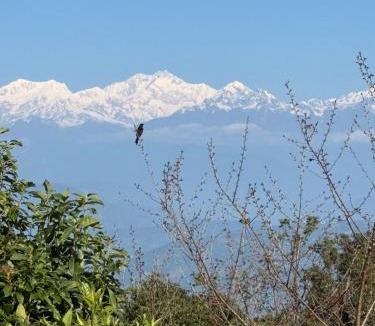 Turuk House | Sleeping Buddha Homestay - Lamahatta