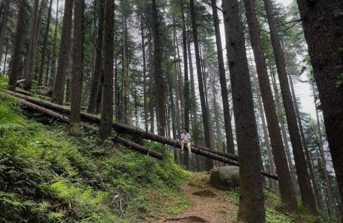 Dalhousie House | Smarthill Deodar Echoes
