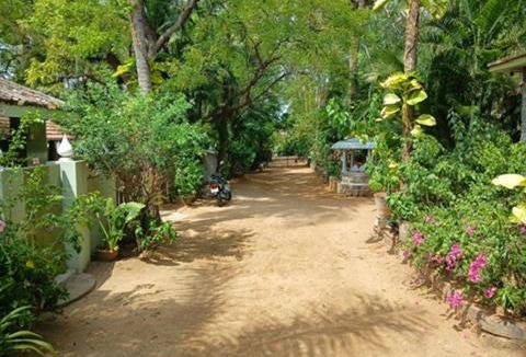 Tiruvannamalai House | Sonagiri Serene Homestay - Near Ramana Maharishi Ashram
