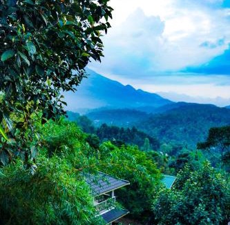 Kalpetta Resort | Space Rock Resort
