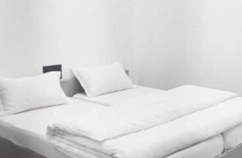 Agra Bed & Breakfast | Spacious Family Room Near Taj Mahal with Private Bathroom & Kitchenette