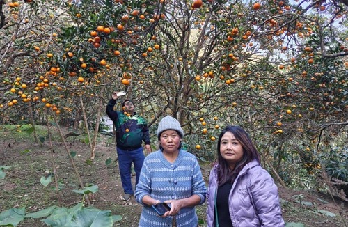 Kurseong Cabin | Sukhim Farmstay
