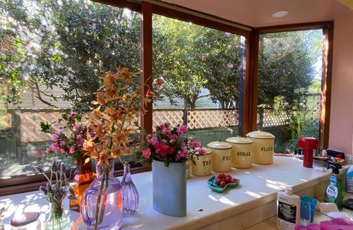 Bulli House | Sunny three bedroom home in Bulli with a beautiful garden