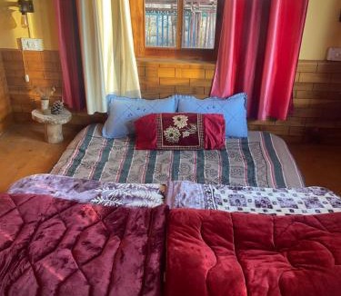 Manali Hostel | Swaranya Art Escape