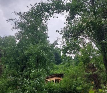 Manali House | Swaranya Cabin wood cottage