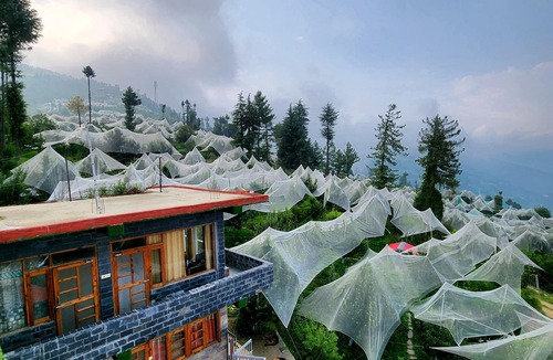Theog House | Talaighar Farmstay Shimla