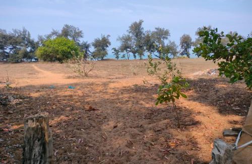 Canacona House | Talpona Beach homestay