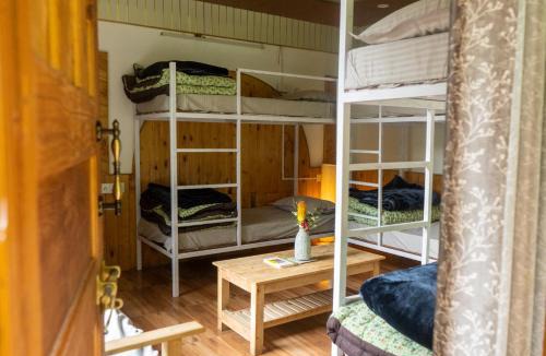 Ghiyagi Hostel | Tarzan Stays Jibhi