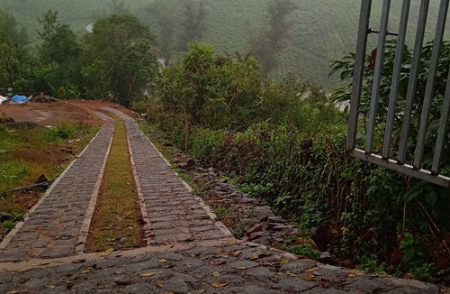 Vagamon Cottage | Tea Haven Homestay