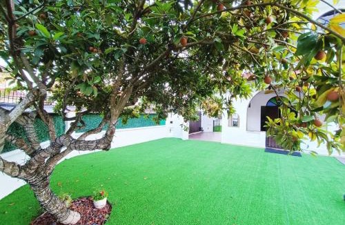 Klebang Besar Villa | TF Klebang Private Pool Villa by Jeffery Lam Home Management
