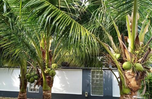 Kampung Dhobi Villa | The Bird's Nest Holiday Villa Port Dickson
