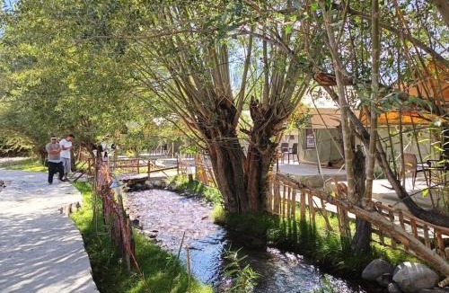 Hunder Cabin | The Brook Camp Hunder, Nubra