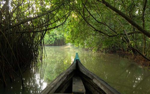 Quilon Resort | The Brook Serene - Nature Themed Boutique Resort Kollam