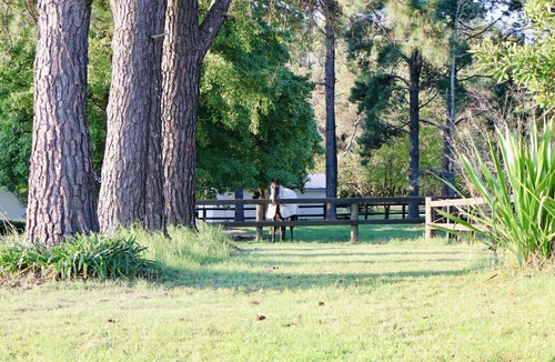 Somersby Cabin | The Charming Studio Escape to Somersby – A Peaceful, Pet-Friendly Retreat