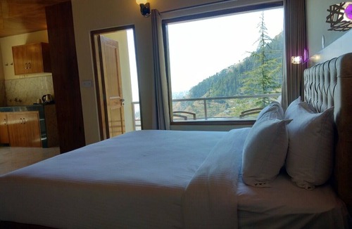 Shimla Hotel | The Jungle Story By Headquarter
