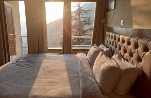 Shimla Hotel | The Jungle Story By Headquarter