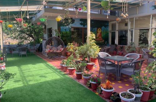 Dharamshala Hotel | The Panda