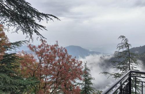 Chail House | The peace holiday home stay