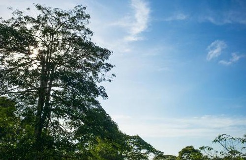 Kulai Hotel | The Riders Resort