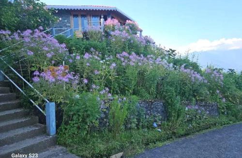 Kumai House | The Serene Acres, Farm & Stay