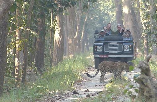 Bardia Resort | Tiger Tops Karnali Lodge