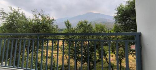 Sidhpur House | Touch wood guest house