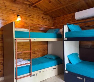 Arambol Hostel | Travo Tales Goa