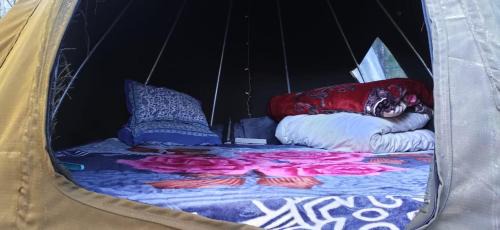 Shangarh Other | Treestays shangarh