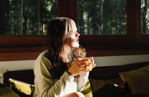 Salisbury Cabin | Treetops - Your Rainforest Retreat Surround yourself with nature.