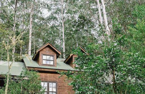 Salisbury Cabin | Treetops - Your Rainforest Retreat Surround yourself with nature.