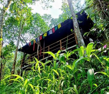 Devikolam House | Triloka by The Offbeat Crew