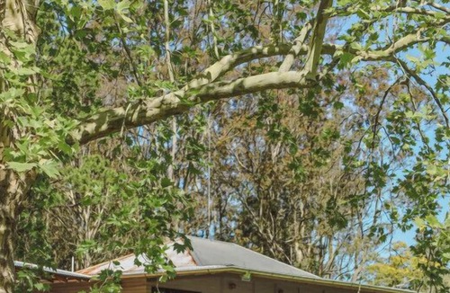 Lemon Tree Cabin | Unwind Escapes: Family Nature Lodge