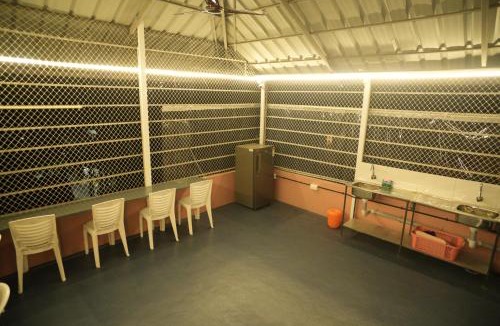 Kochi Hostel | Urban Coliv - Casa Femme