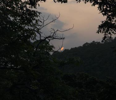 Khandwa Resort | Vanvaas the forest note