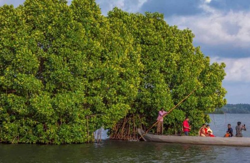 Munroe Island House | Vasudha Farm House