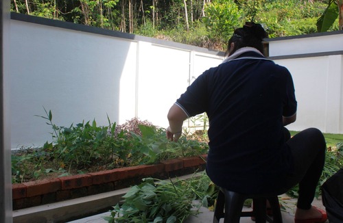 Bentong House | Villa, Hot & Cold water supply, durian, palm garden park, waterfall, hot spring