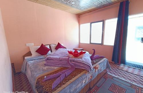 Leh Bed & Breakfast | Wanderlust Cottage Pangong Lake, Lukung,